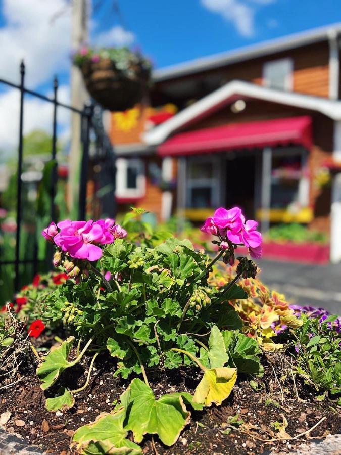 Homestead Inn - Blowing Rock Exterior foto